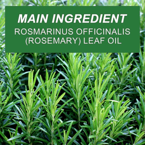 Rosmarinolje for hårvekst 2pcs