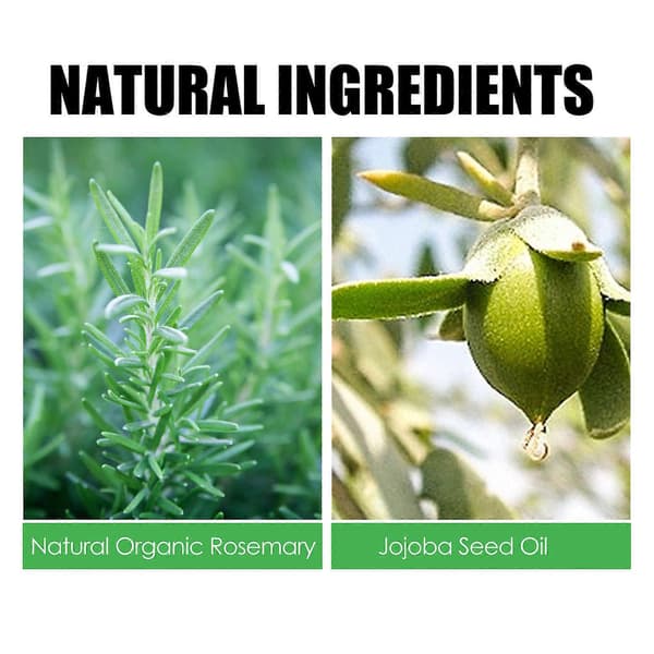 EELHOE Rosmarin Hårvård Hår Anti-Fall Solid Hår Tjock Stark Återfuktande Hårrot Hårvård Presentkostym~A