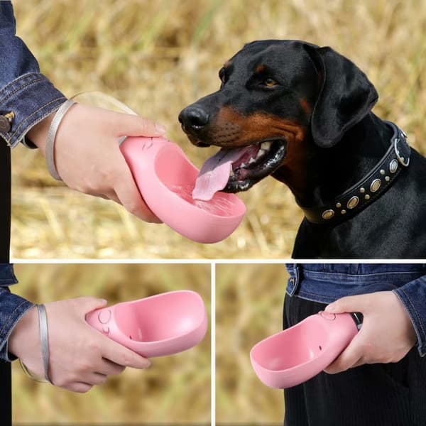 Bærbar Vandflaske til Hunde Rosa 360 2-Pack