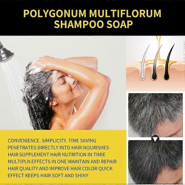 Sort Hårfarve Shampoo 3 i 1 til Gråt Hår, Hårfarve Shampoo til Kvinder Mænd Grå Hårdækning, Urteingredienser Para Canas 100ml 2pcs