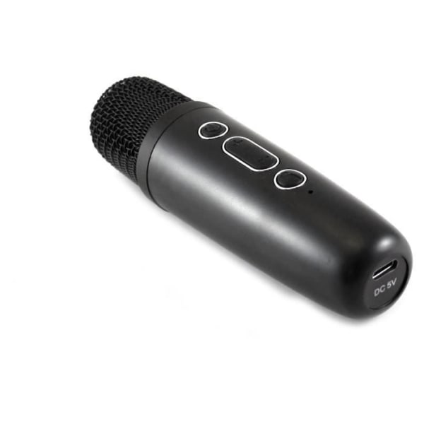 Karaokehögtalare + trådlös mikrofon - Bluetooth - Upplyst