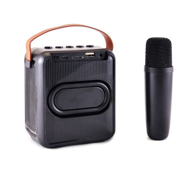 Karaokehögtalare + trådlös mikrofon - Bluetooth - Upplyst