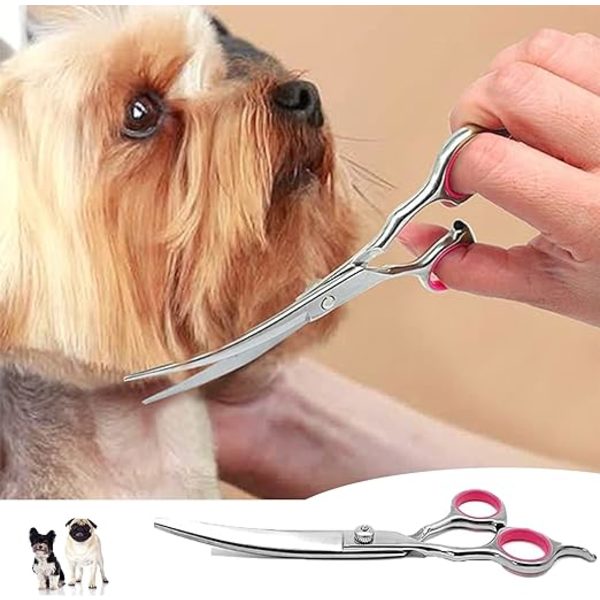 1 st hundtrimningssax, 6' professionell hundtrimningssax