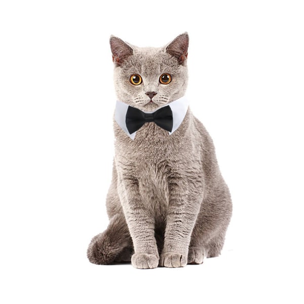 Justerbar husdjur fluga hund för katt husdjur formell smoking kostym Slips krage PET46P