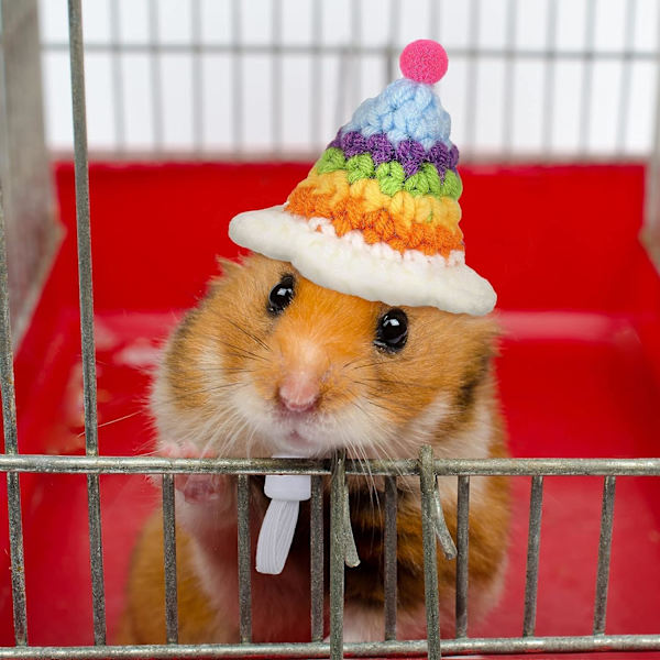 4 stycken Hamsterhatt Mini Smådjur Mössa med justerbar rem Söt handgjord groda Regnbåge Morot Små hattar Julfest