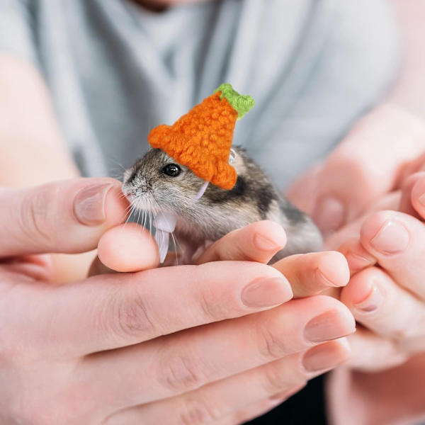 4 stycken Hamsterhatt Mini Smådjur Mössa med justerbar rem Söt handgjord groda Regnbåge Morot Små hattar Julfest