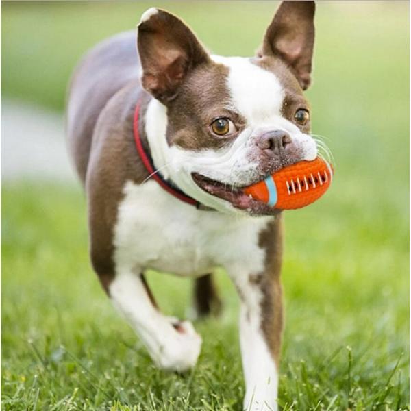 Hund Leksak Pipande Hundleksaker Bollar Interaktiv Tuggljud Flytande Spelboll Hämta Lek för Hundar Tandvård För Hundar Husdjur