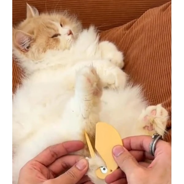 5-Pack - Tovkniv - Tovutredare för Hund & Katt