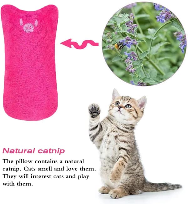 5-pack plysch kattleksaker med kattmynta i tumform