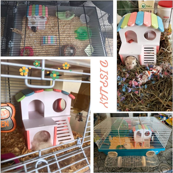 Hamsterhusstuga i trä med trappa Träningsleksaker Gömställe Villa Kul gym Lekplats för hamstrar Ekorrar Gerbiler Guldbjörnar Smådjur