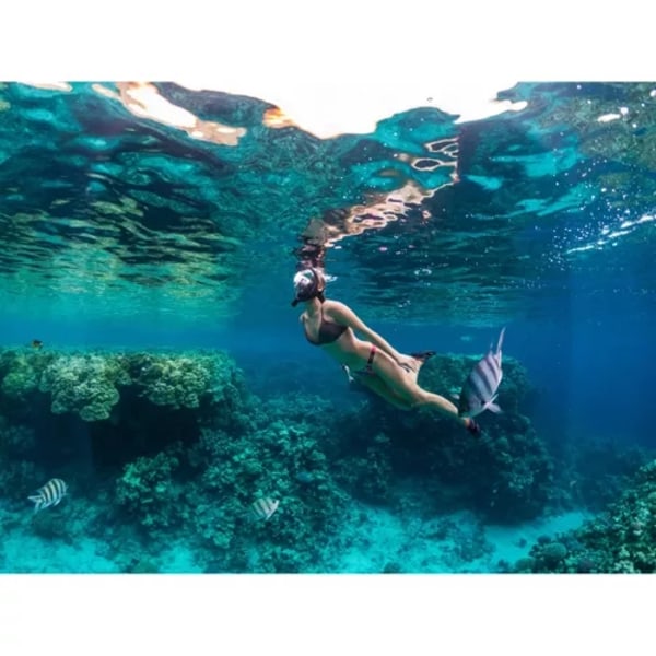 Snorkelmaske Heldekkende - Snorkling - L/XL Black Svart