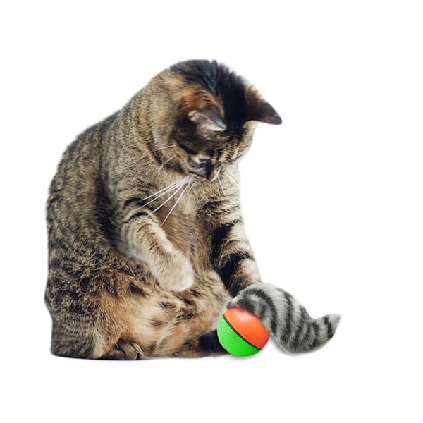 Elektrisk Kattleksak / Leksak för Katt - Rullande boll med iller 165