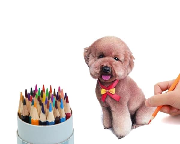 36 kpl - Värikynät / Kynät - Eri värejä Multicolor multifärg