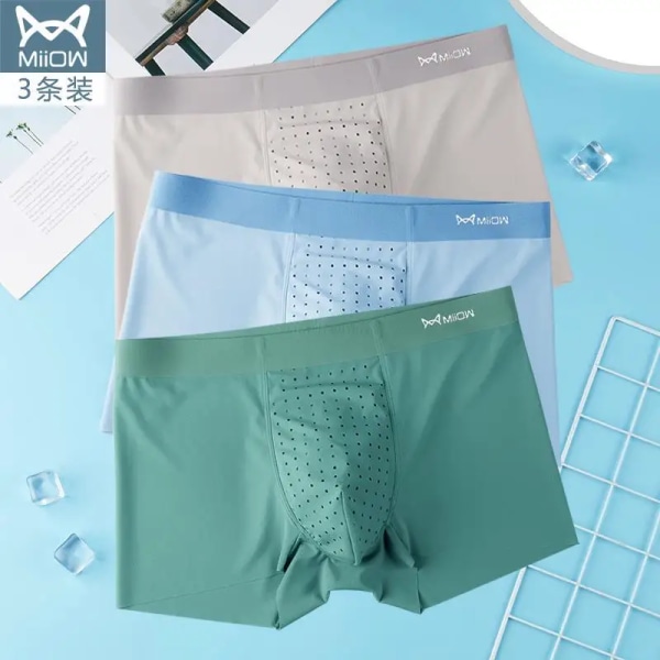 3st äkta issilke boxer för män sommar andas Mesh Sexiga män underkläder Sömlösa grafen trosor kalsonger 2 XL