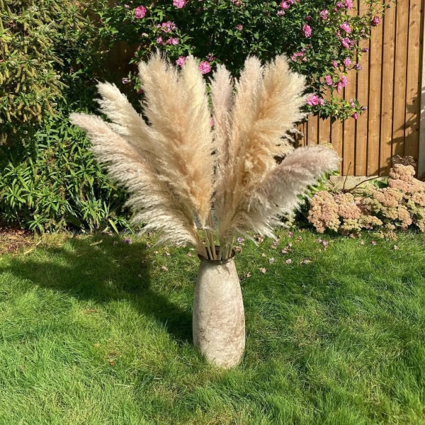 Pampas Gräs Stor Naturlig Vit Rosa Torkade Blommor Bukett Fluffig För Boho Vintage Style Hem Bröllopsarrangemang Blommor Dekoration B 5pcs