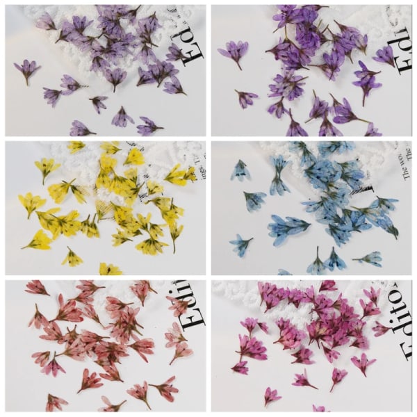 100 st/0,5-1 cm, minipressade blomblad, äkta blomma DIY nail art aromaterapi ljus kristall lim smycken phone case dekor Light blue