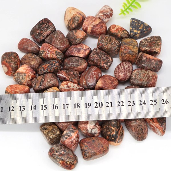 Naturlig Leopard Jaspis Oregelbunden tumlad sten Reiki Healing Crystal Aquarium Mineral Gemstone Heminredning Gem Exemplar Partihandel 500g