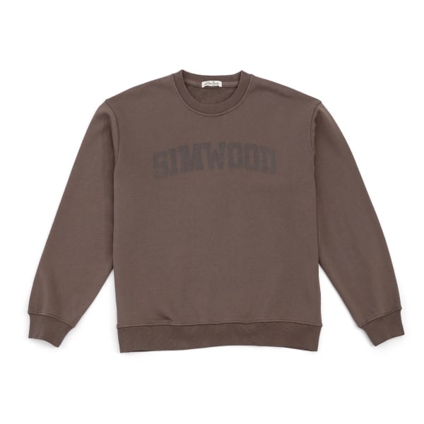 Höstnyhet 2023 Oversize Fleece Liner Print Sweatshirts Plus Size Luvtröjor Högkvalitativ märkeskläder Coffee M
