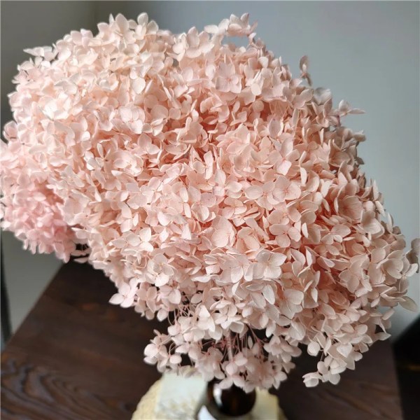 18-20cm Huvud,Naturligt konserverad Anna Hortensia Med Stjälk,Evig utställningsblommaknippe för bröllop Heminredningstillbehör Lt.hot pink 1pc