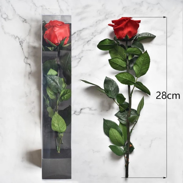 4-5 cm/28 cm, Naturligt konserverad rosblomma med stjälk, Äkta evig visningsros för heminredning för bröllopsfest, Mors Dagspresent 2