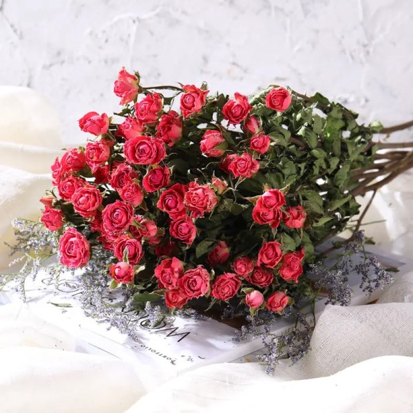 30st Torkad Naturlig Färsk Eternell Rose Blommor Konserverad Rose Blomma Bröllopsfavorit Gåva Hem Vardagsrum Bordsdekoration Color  A 30pcs No Vase