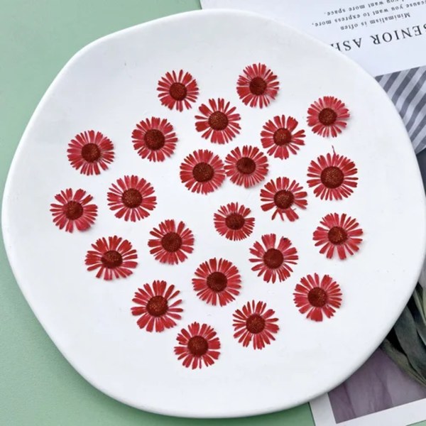 120 st/1,5-2 cm, naturlig nål krysantemum kronblad, pressad blomma DIY droppande lim mobilskal bokmärke fotoram material red