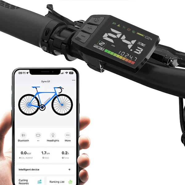 Carbon belt e-bike JOBOBIKE Dyno GT, 36V 250W 15Ah, Torque Sensor