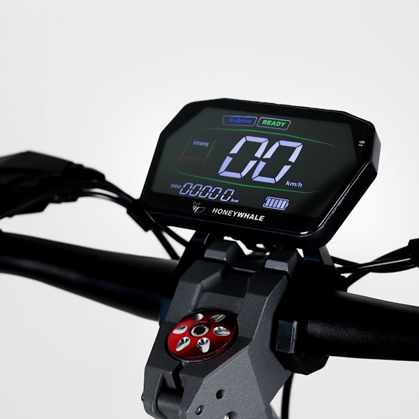 HONEY WHALE G2 Pro Vikbar El-Scooter 900W Toppmotor 54.6V 16Ah Batteri grön
