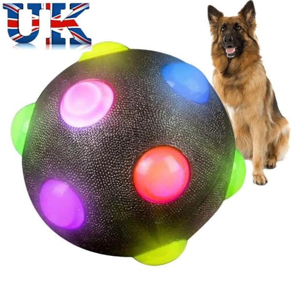 2 st Husdjur Hund Lysande Studsboll Bitresistent Boll Blinkande Elastisk black