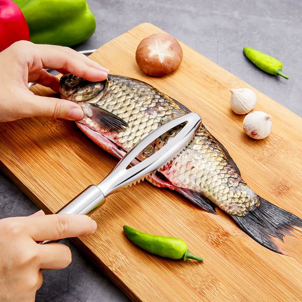 Fiskskrapa i rostfritt stål, köksredskap