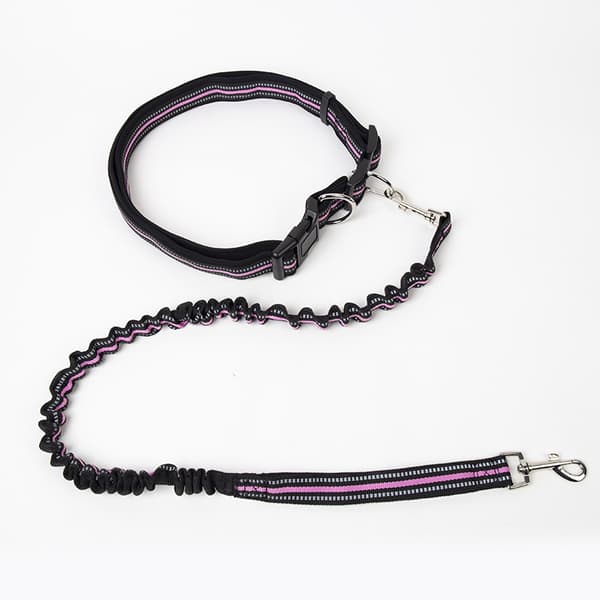 Dragrep husdjursdragrep polyester dragsats infällbart dragrep löphandtag dragrep Purple;