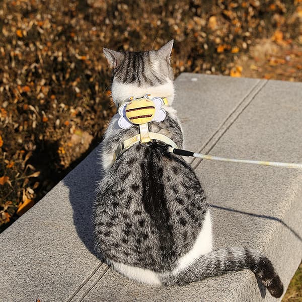 Kattdragsrep, I-format kattrep, vingar, halkskydd, bröstgång, axelrem, gradient husdjursdragsrep, kattillbehör