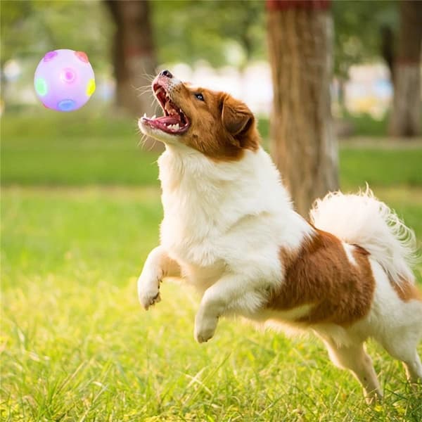 2 st Husdjur Hund Lysande Studsboll Bitresistent Boll Blinkande Elastisk white