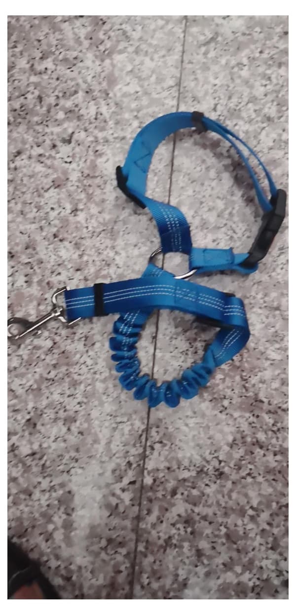 Ny bilrem för husdjur, hundrem, elastisk dragrem, bilbogseringsrem blue