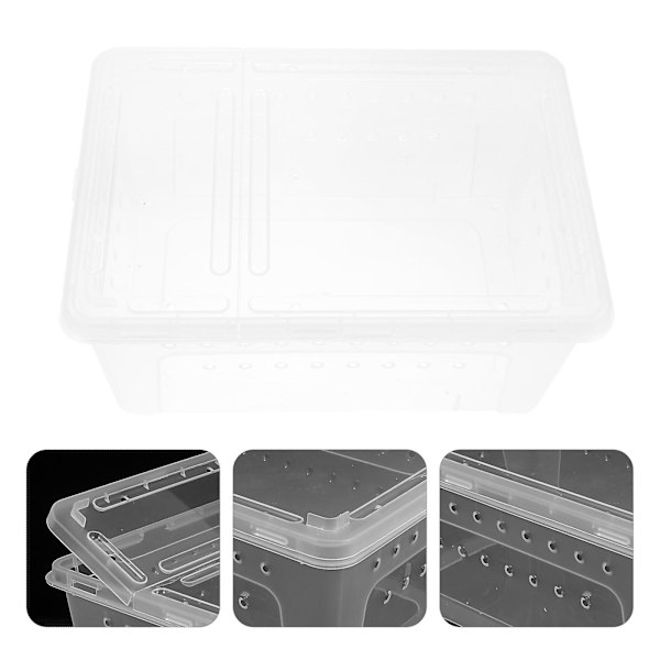 1 st transparent plastreptilbox för spindelskorpionorm