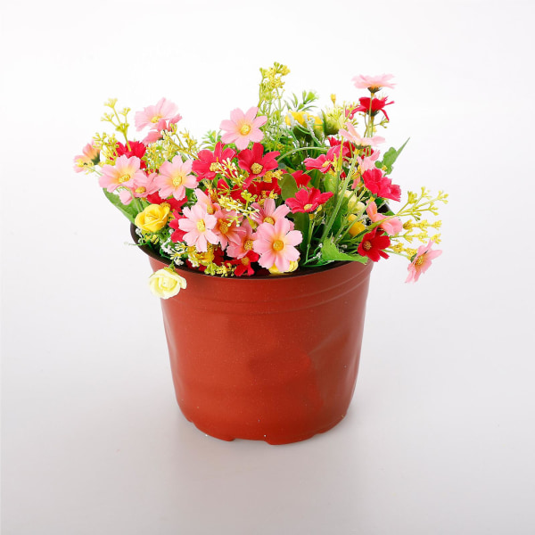 6 stk Vase Plante Blomsterpotte Vaser Beholder Utendørs Frøplanter Stiklinger Innendørs hage dekorasjon (rød)