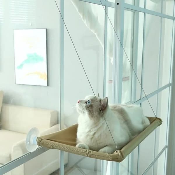 Fönsterhängmatta för katt - Husdjursbädd - Blå