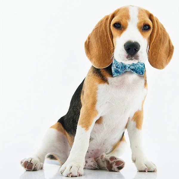 Hundehalsbånd med bindebånd Stærkt hundehalsbånd til store hunde Komfortabelt og blødt hundehalsbånd（XS）