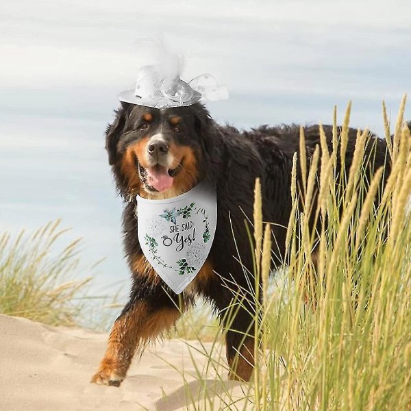 Vit kransmönster Triangel Hund Bröllop Bandana Scarf med en kompatibel Withmal Hat Hund Bröllop Förlovning (Vit)