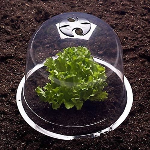 Salad Bell X5 Växthus för Växter