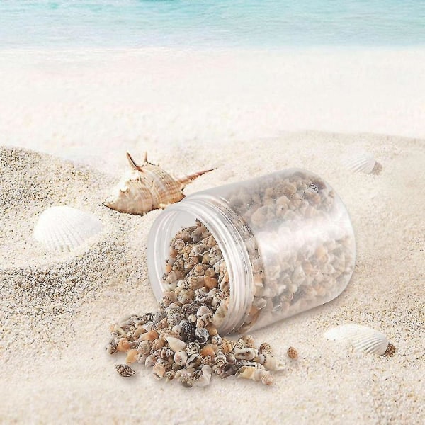 Cirka 1300-1500 Tiny Sea Shell Ocean Beach Spiral Seashells Hantverksberlocker 7-12mm för ljustillverkning,h