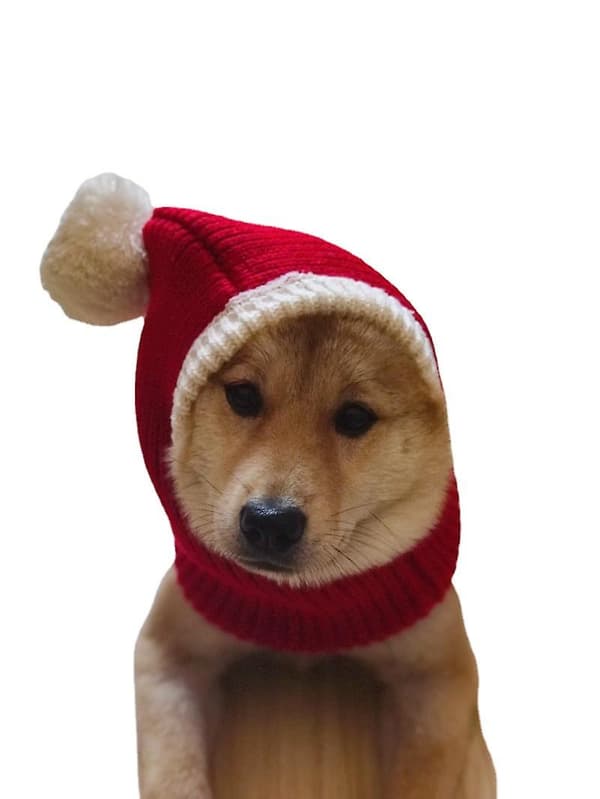 1 st julhatt för katter