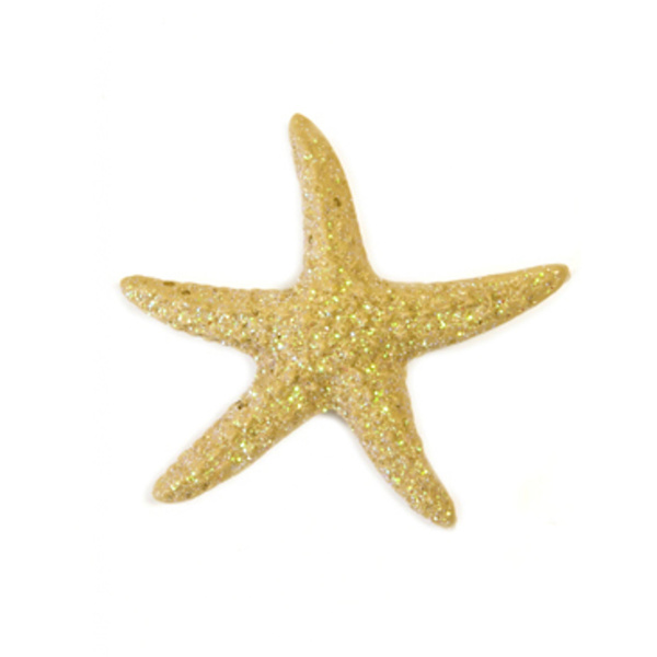 4 Havsstjärnor i resin 4,5 cm