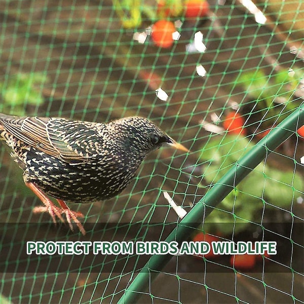 Fuglenett, hagenett floker seg ikke og gjenbrukbart gjerde beskytter