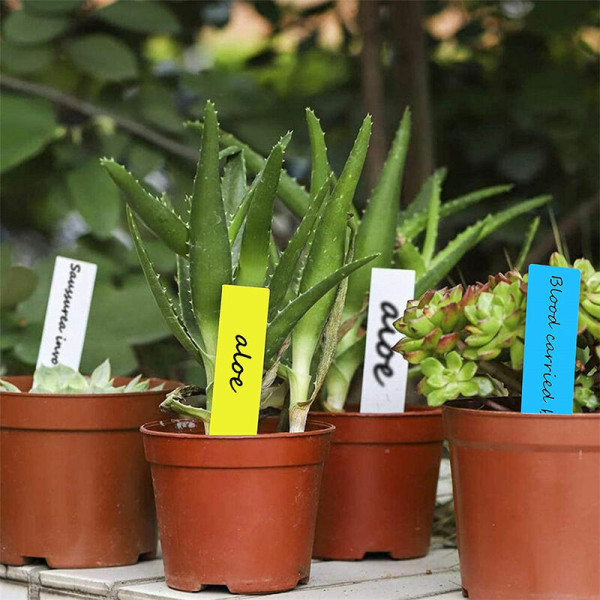 120x etiketter för trädgårdsväxter i plast 2x10 cm färgetikett för plantor i 6 färger