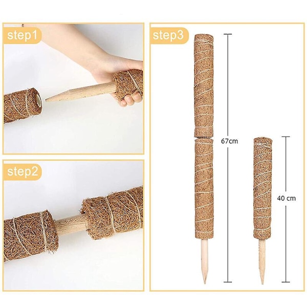 Set med 3 utdragbara klätterväxtstöd i kokos 40cm