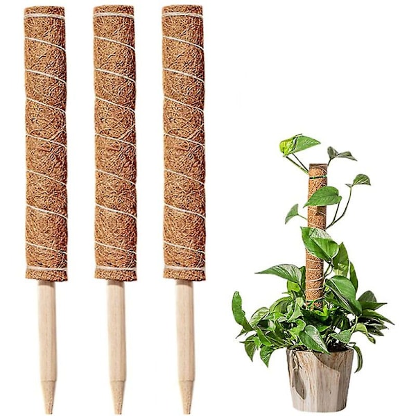 Set med 3 utdragbara klätterväxtstöd i kokos 40cm