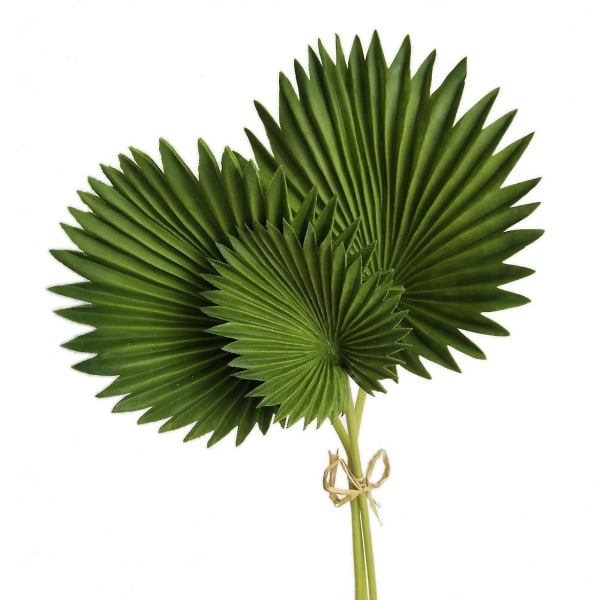 Palm Spears, Bohemian kuivatut palmunlehdet sisustus kodin seiniin, häihin ja kukkakimppuihin