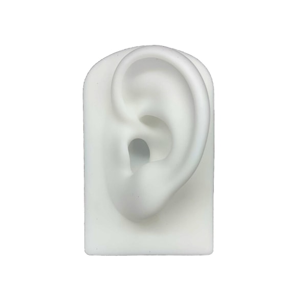 Silikone ører simulering øre model omvendt legetøj Nyt produkt rekvisitter Display ører （hvide）