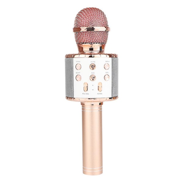 Ammattimainen langaton mikrofoni karaokemikrofonikaiutin valolla (vaaleanpunainen)